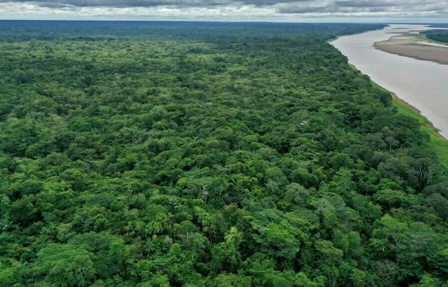 気候：世界気象機関のCOP26交渉担当者への強いメッセージ