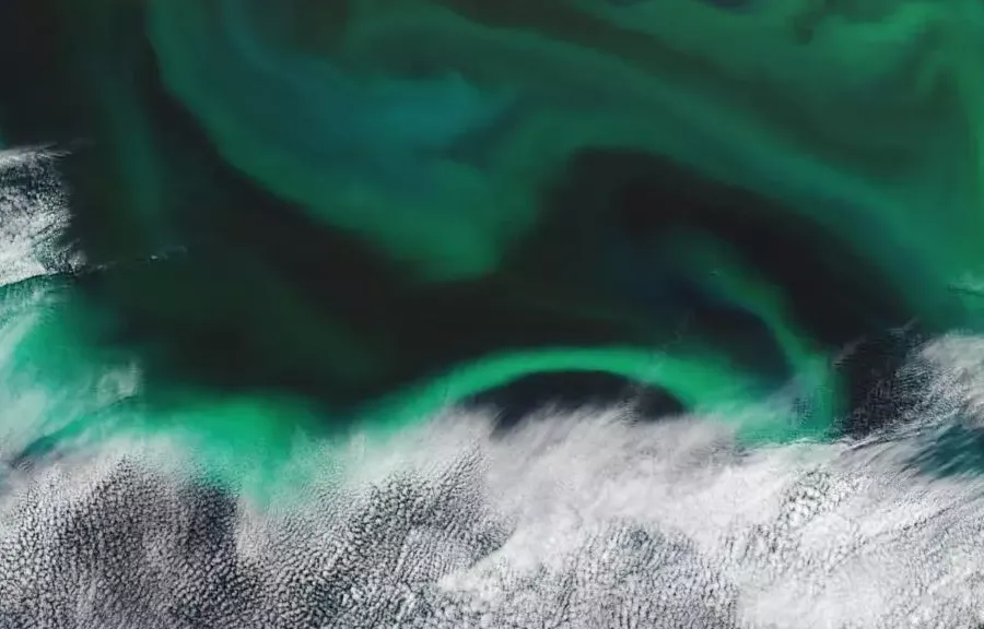 フランスの科学者は、海の神秘的な酸素工場であるプランクトンをマッピングします