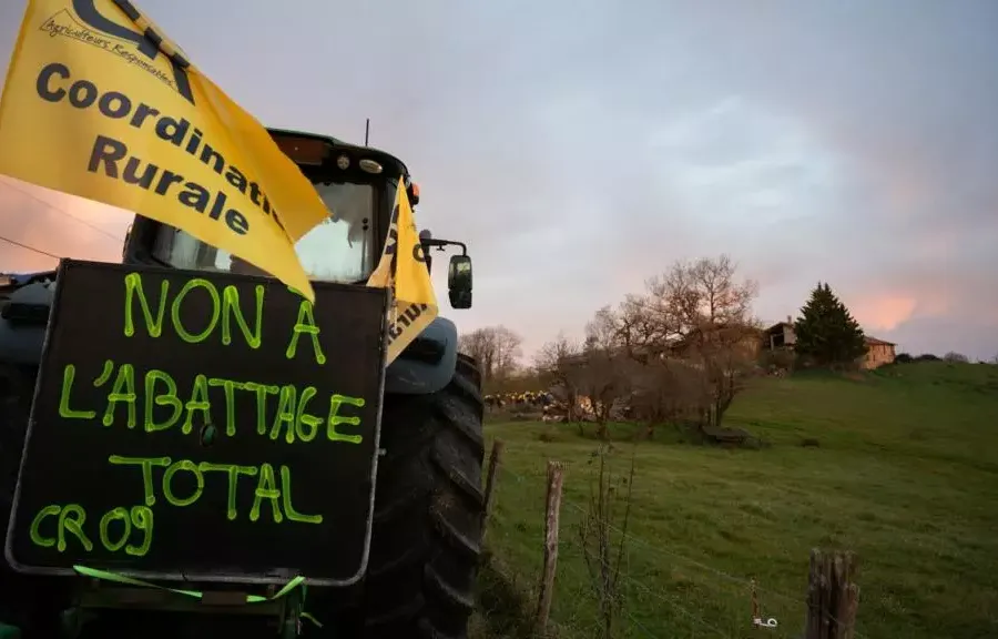 フランスの農家は、病気の発生の中で強制的な牛の淘汰に抗議する