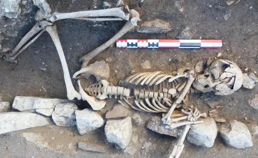フランスのイル・ド・レの考古学的発見により、北海の貿易関係が明らかになった