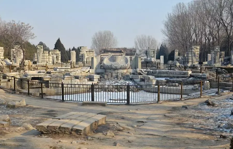 フランスの略奪された遺物の返還に関する法律が中国にとって「非常に重要」である理由