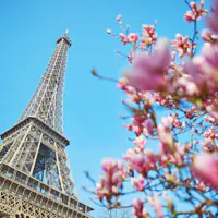 ile-de-france